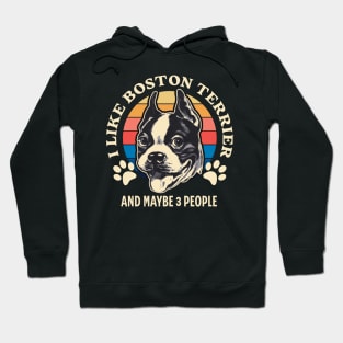 I Like Boston Terrier And Maybe 3 People Hoodie
